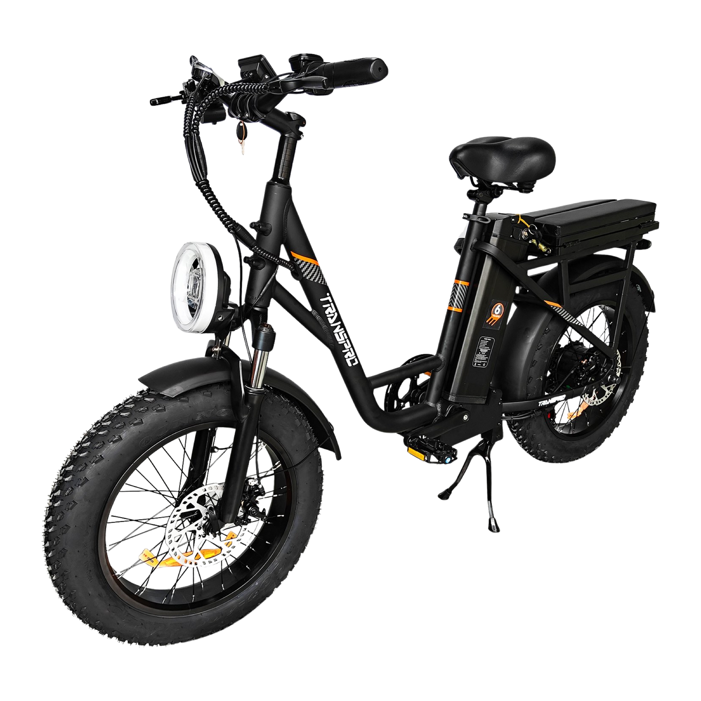 E21 Fat Tire Cargo Electric Bike