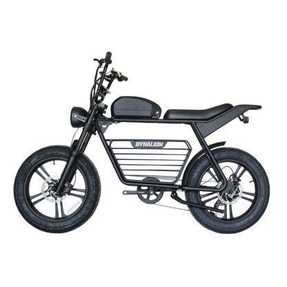 Dynalion K7-2 Fat Tire E-Bike