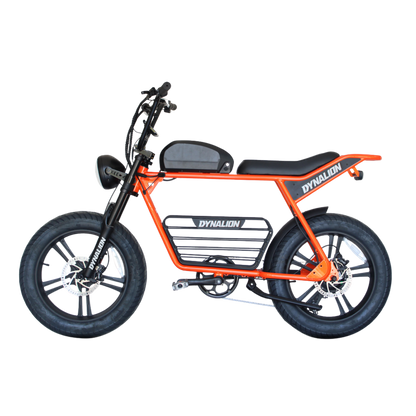 Dynalion K7-2 Fat Tire E-Bike