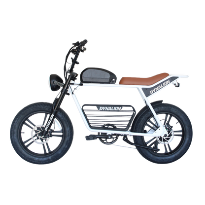 Dynalion K7-2 Fat Tire E-Bike