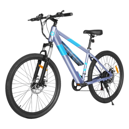 EB-262 Off-Road E-bike