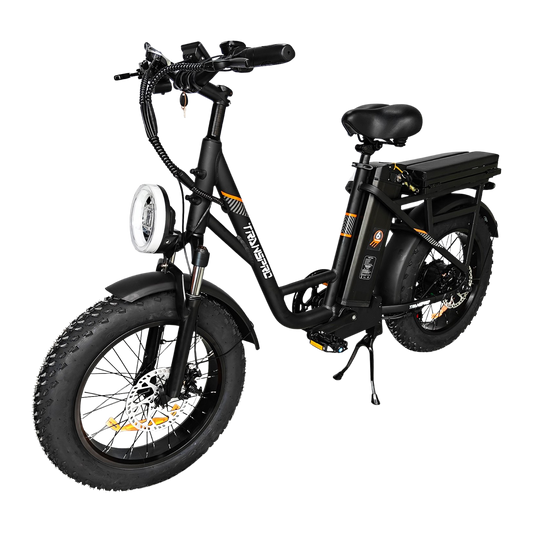 E21 Fat Tire Cargo Electric Bike